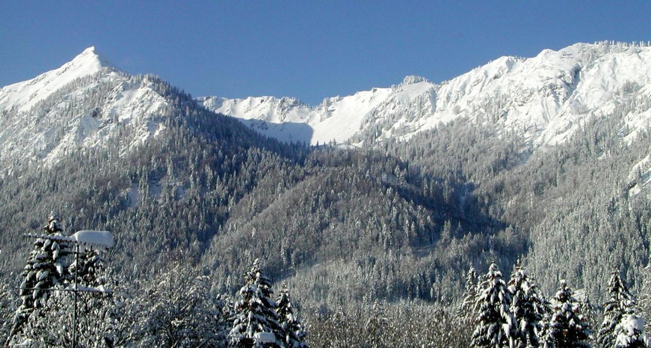 Haus-Brecherspitzblick Schliersee Eksteriør bilde